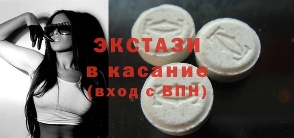 молекула духа Богданович