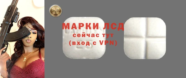 таблы Бородино