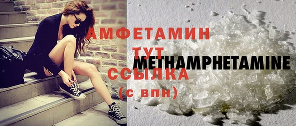 молекула духа Снежногорск