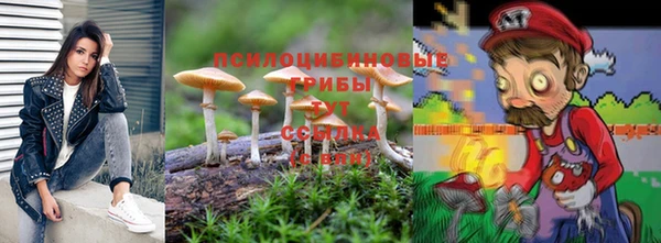 таблы Бородино