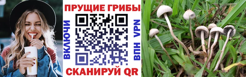 Псилоцибиновые грибы Magic Shrooms  Клин 